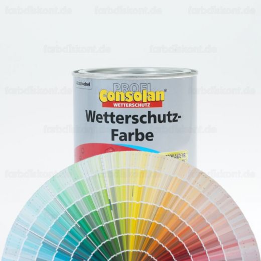 Consolan Wetterschutzfarbe Werkst�nung 1 ltr